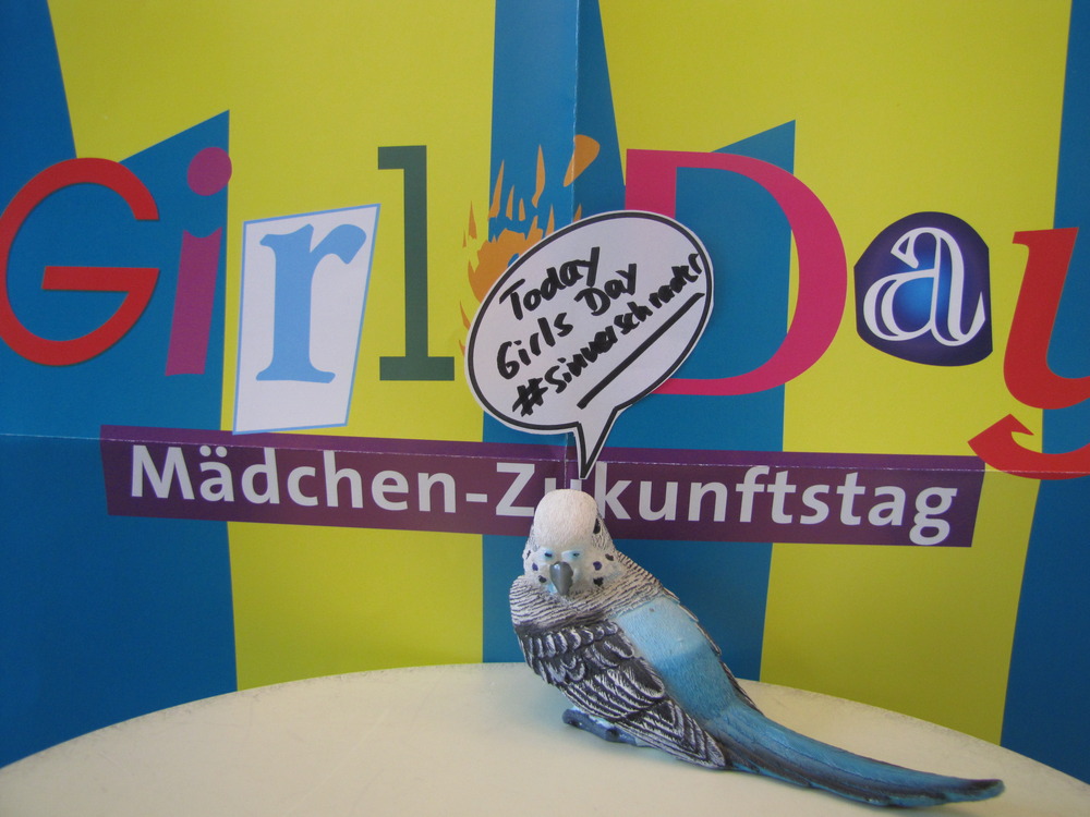 Bird_tweet_girls_day