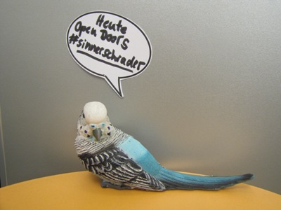 Bird_tweet_open_doors