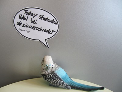 Bird_tweets_exkursion_haw