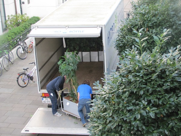 Pflanzentransport_007
