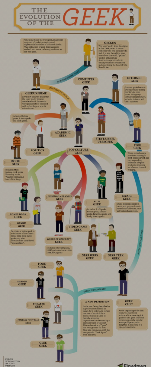 What_kind_of_geek_are_you_infographic
